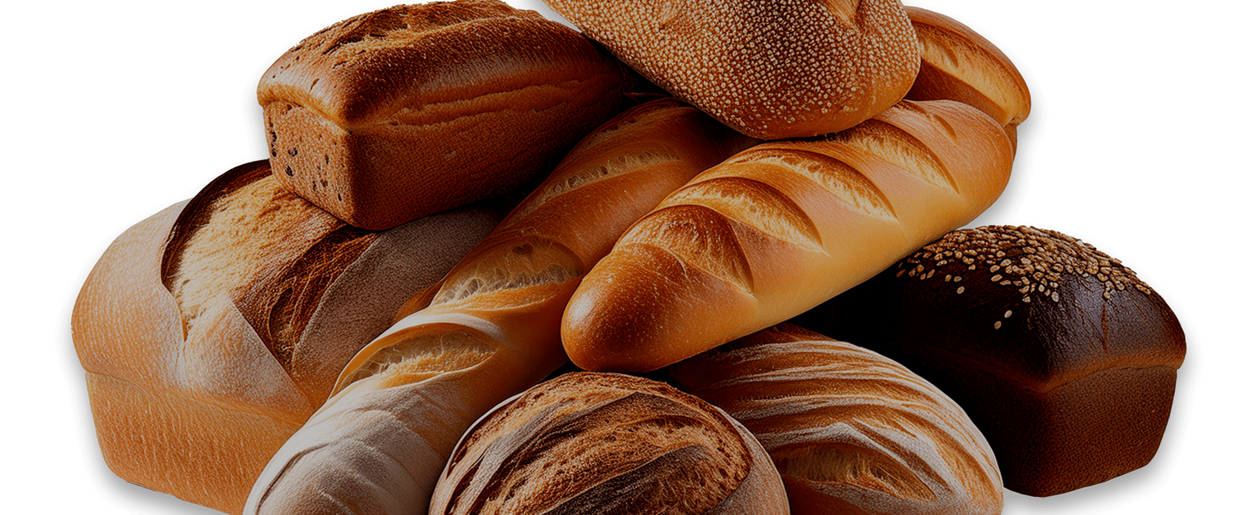 Schnitz Bakery artisan bread assortment